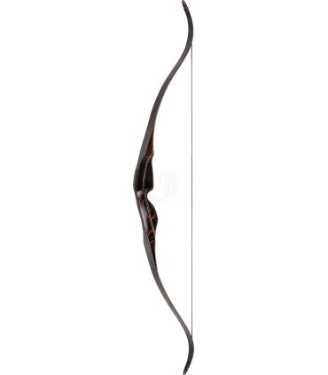 Arc WILD MOUNTAIN Apalachee 60 "