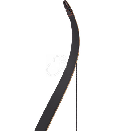 Arc WILD MOUNTAIN Apalachee 60 "