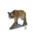 Cible 3D SRT Puma Mountain Lion