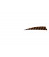 Plume BUCK TRAIL ou équivalent tigrée 3" Shield