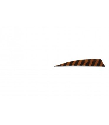 Plume BUCK TRAIL ou équivalent tigrée 3" Shield