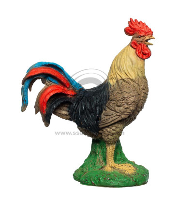 Cible 3D BEIER Coq