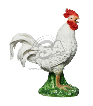 Cible 3D BEIER Coq