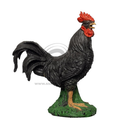 Cible 3D BEIER Coq