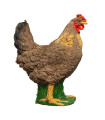 Cible 3D BEIER Coq