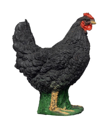 Cible 3D BEIER Coq