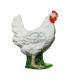 Cible 3D BEIER Coq