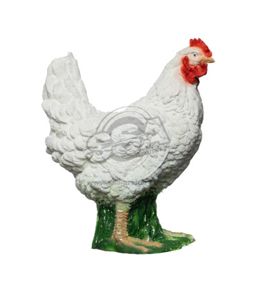 Cible 3D BEIER Coq