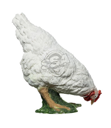 Cible 3D BEIER Coq