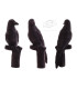 Cible 3D BEIER Hooded Crow
