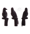 Cible 3D BEIER Hooded Crow