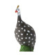 Cible 3D BEIER Pintade