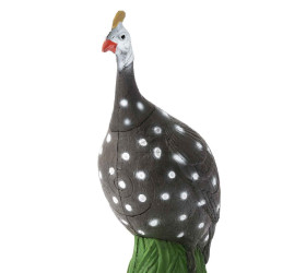 Cible 3D BEIER Pintade