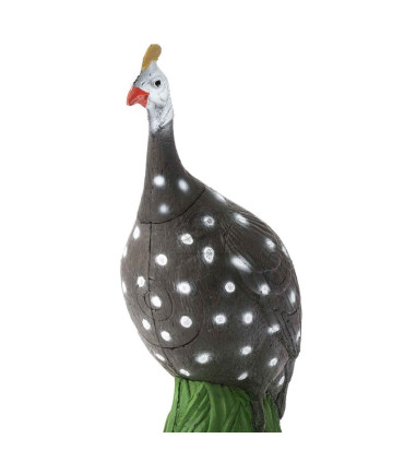 Cible 3D BEIER Pintade