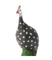Cible 3D BEIER Pintade