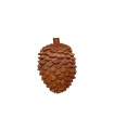 Cible 3D BEIER Pomme de Pin