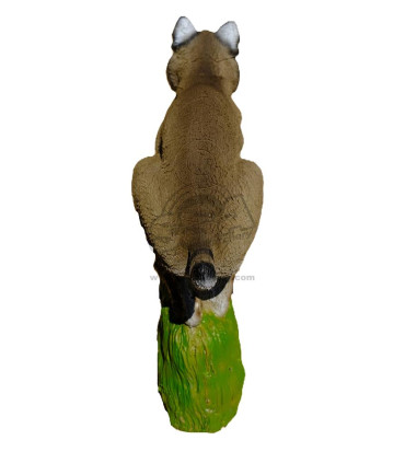 copy of 3D RENARD ASSIS