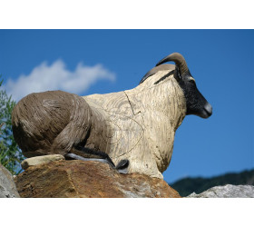 Cible 3D SRT Himalayan Couché