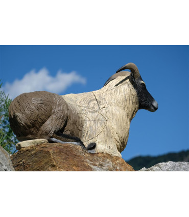 copy of 3D LOUP