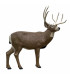 Cible 3D RINEHART Cerf