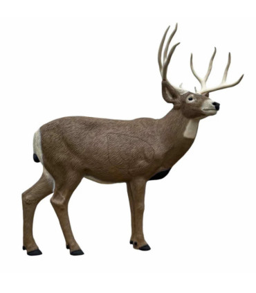 Cible 3D RINEHART Cerf