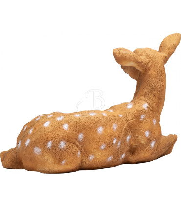 Cible 3D BOOSTER Biche couché
