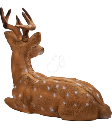 Cible 3D BOOSTER Cerf couché