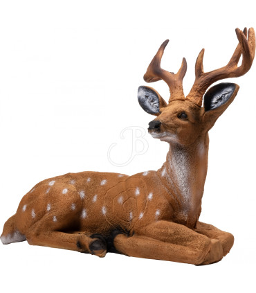 Cible 3D BOOSTER Cerf couché