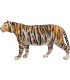 Cible 3D BOOSTER Tigre
