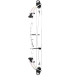 Arc PSE Lazer X NF Cam 2026