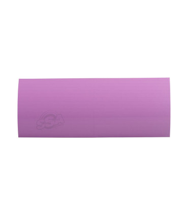 Arrêt de plumes  XS WINGS  (par 34)