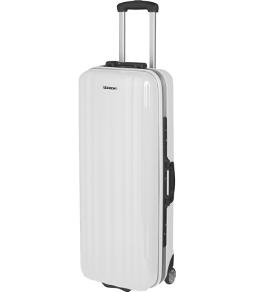 Valise FIVICS Aegis pour 1 arc