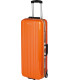 copy of Valise  FIVICS AEGIS DOUBLE TWO BOW HARD CASE (NEW)