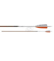 copy of Tube  VICTORY V1 ELITE PAR 12