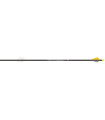 copy of Tube  VICTORY V1 ELITE PAR 12