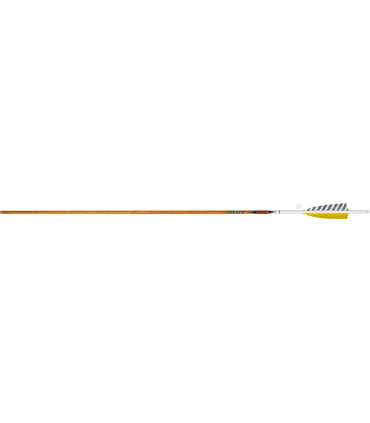 copy of Tube  VICTORY V1 ELITE PAR 12