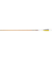 copy of Tube  VICTORY V1 ELITE PAR 12