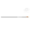 copy of Tube  VICTORY V1 ELITE PAR 12