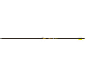 Tube GOLD TIP Vélocity Pro ( par 12)