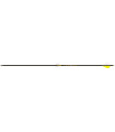 Tube GOLD TIP Vélocity Pro ( par 12)