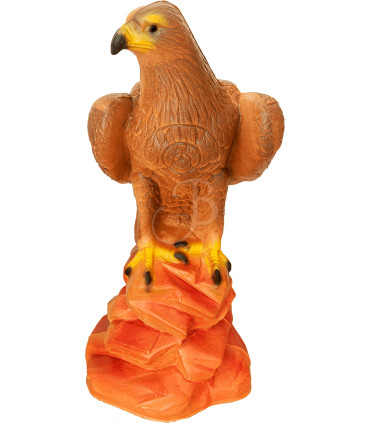 Cible 3D CENTER POINT Aigle