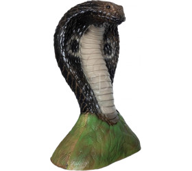 Cible 3D CENTER POINT Cobra
