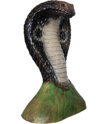 Cible 3D CENTER POINT Cobra