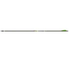Tube GOLD TIP Pierce (par 12) V6