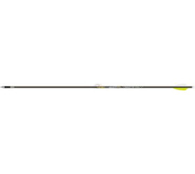 copy of Tube Gold Tip ULTRALIGHT BLACK par 12
