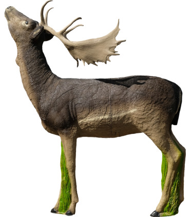 Cible 3D SRT Biche Téte Levée