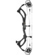 Arc PSE Sicario