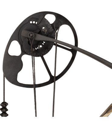 Kit DIAMOND BY BOWTECH Radian