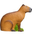 copy of 3D CASTOR