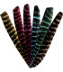 Plume BEARPAW entière Tigrée